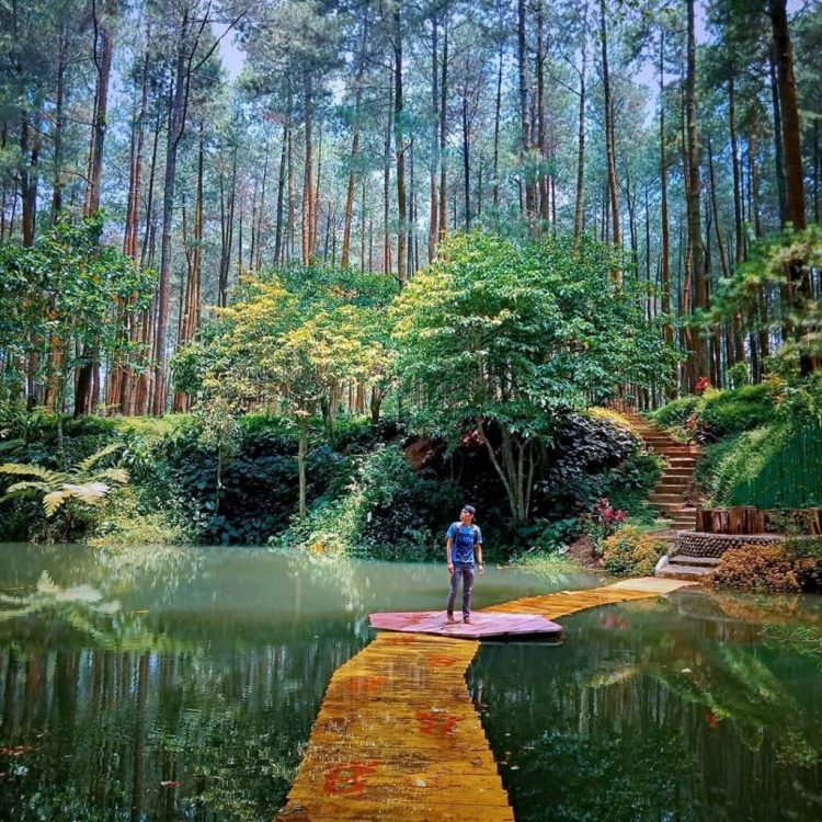 Spot Swafoto Instagramable Jembatan kayu via Instagram @ahot015, Informasi Umum, Lokasi Wana Wisata Prabalitang Danasari Tegal, Rute Menuju Wisata Prabanlitang Danasari Tegal, Harga Tiket Masuk Wisata Prabanlintang Danasari Tegal, Fasilitas Wana Wisata Prabanlintang Danasari Tegal, Daya Tarik Wisata dengan Spot Instagramable