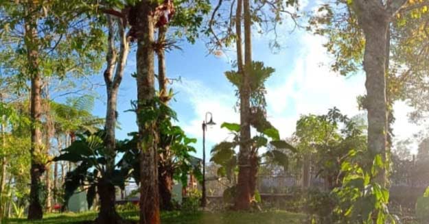 Sumber Gambar IG @kebunrayaliwa_lampungbarat, Informasi Umum, Harga Tiket Masuk Kebun Raya Liwa Lampung, Harga Tiket Masuk, Jam Buka, Daya Tarik Kebun Raya Liwa, Galeri Foto