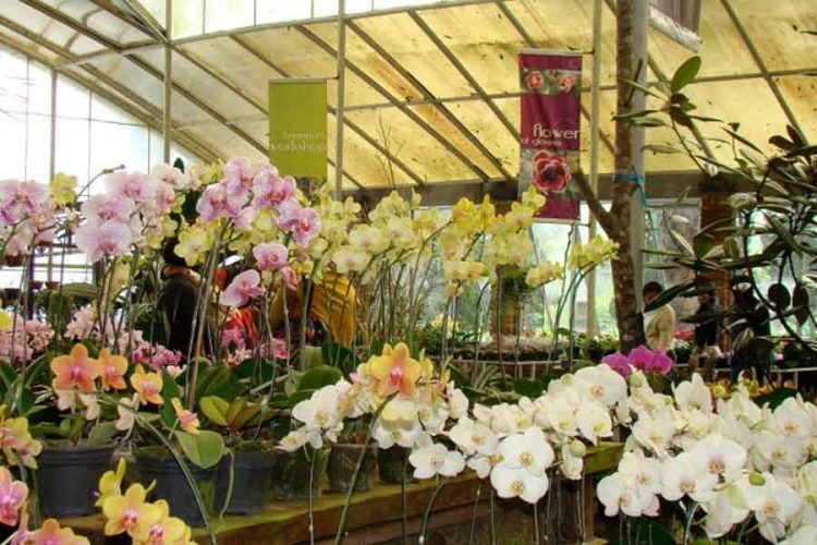 (Sumber foto melrimbagarden.com), Informasi Umum, Daya Tarik Melrimba Garden, Tarif Camping Di Wisata Melrimba Garden Bogor, Harga Tiket Masuk Melrimba Garden Bogor, Spot Foto Instagramable, Lokasi Objek Wisata, Aktivitas Seru di Melrimba Garden, Galeri Foto Wisata Melrimba Garden