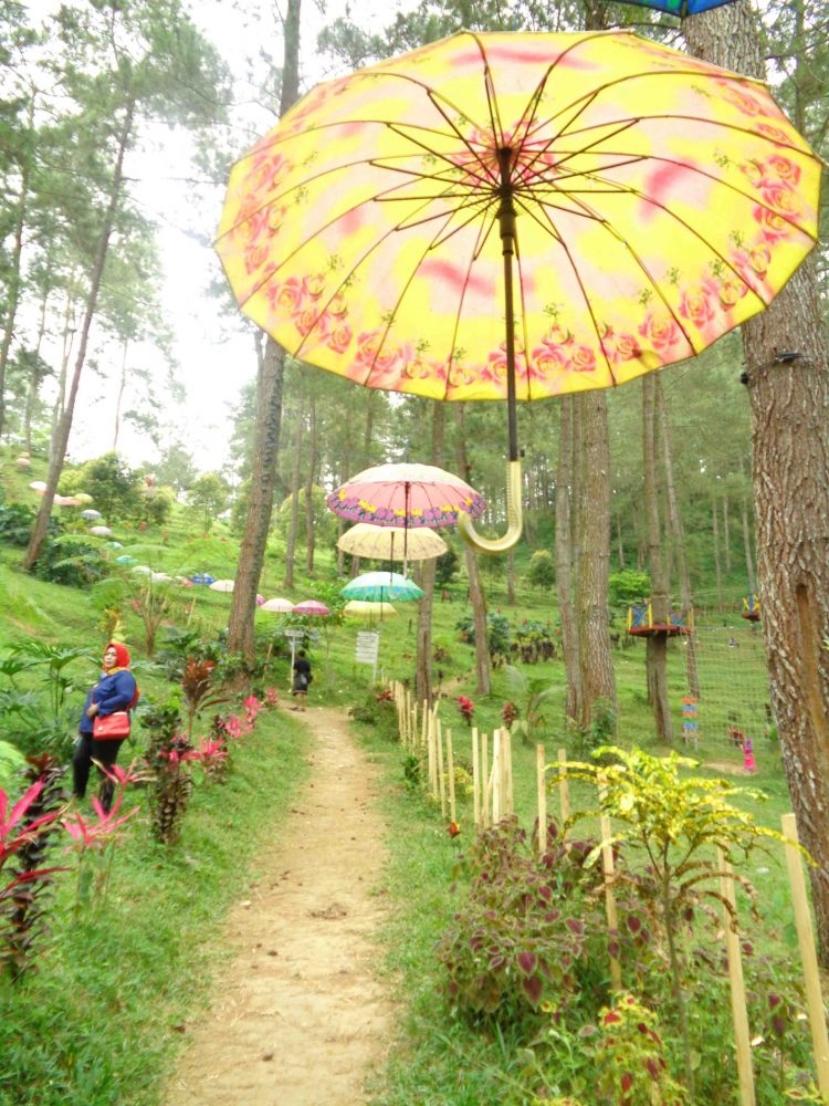 Taman Payung (c) Akbar Dedy P/Travelingyuk, Informasi Umum, Harga Tiket Masuk Jurang Senggani Sendang, Lokasi dan Rute Menuju Jurang Senggani Sendang, Spot Foto Jurang Senggani Sendang, Daya Tarik, Galeri Foto