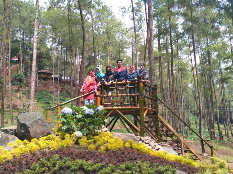 Taman Pinus Bendosari, Informasi Umum, Daya Tarik, Lokasi Hutan Pinus Bendosari Pujon, Rute Hutan Pinus Bendosari Pujon, Harga Tiket Masuk Hutan Pinus Bendosari Pujon., Arena Permainan Seru, Kapal Raksasa di Tengah Hutan, Taman Bunga, Tempat Camping Asyik, Coba Wahana Flying Fox, Galeri Foto