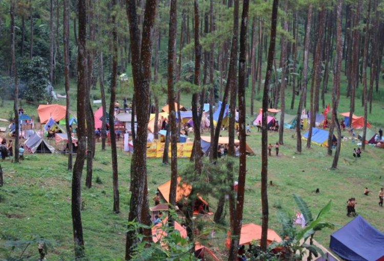 Tempat camping asyik, Informasi Umum, Daya Tarik, Lokasi Hutan Pinus Bendosari Pujon, Rute Hutan Pinus Bendosari Pujon, Harga Tiket Masuk Hutan Pinus Bendosari Pujon., Arena Permainan Seru, Kapal Raksasa di Tengah Hutan, Taman Bunga, Tempat Camping Asyik, Coba Wahana Flying Fox, Galeri Foto