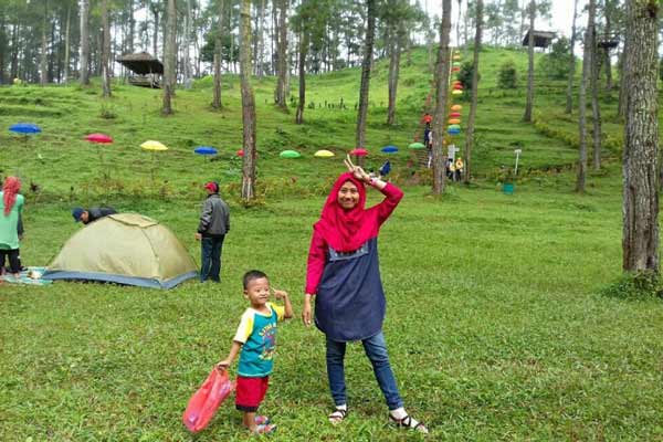 Informasi Umum, Harga Tiket Masuk Jurang Senggani Sendang, Lokasi dan Rute Menuju Jurang Senggani Sendang, Spot Foto Jurang Senggani Sendang, Daya Tarik, Galeri Foto