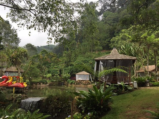 (Tripadvisor.com), Informasi Umum, Daya Tarik Melrimba Garden, Tarif Camping Di Wisata Melrimba Garden Bogor, Harga Tiket Masuk Melrimba Garden Bogor, Spot Foto Instagramable, Lokasi Objek Wisata, Aktivitas Seru di Melrimba Garden, Galeri Foto Wisata Melrimba Garden