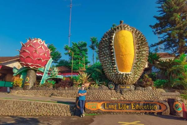 Informasi Umum, Daya Tarik Warso Farm, Harga Durian di Warso Farm Cihideung Bogor, Alamat Warso Farm Cihideung Bogor, Fasilitas, Aktivitas Seru di Warso Farm, Tips Berkunjung, Galeri Foto Warso Farm