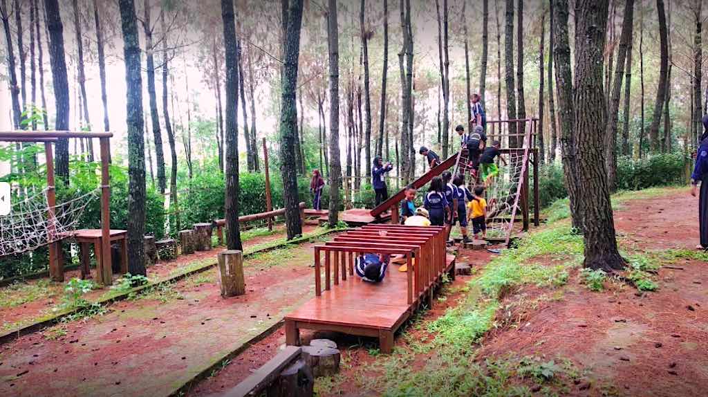 Wisata Hutan Pinus Gogoniti, Informasi Umum, Lokasi Wisata Hutan Pinus Gogoniti Blitar, Rute Menuju Lokasi Wisata, Harga Tiket Masuk Wisata Hutan Pinus Gogoniti Blitar, Fasilitas yang Tersedia, Daya Tarik, Galeri Foto, Tips Liburan ke Hutan Pinus di Blitar