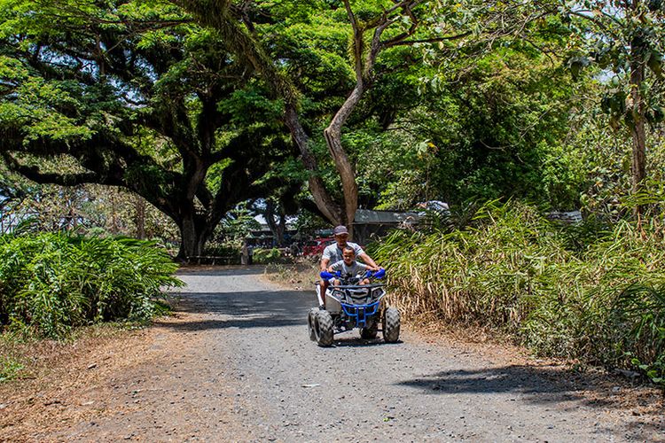 Wisatawan De Djawatan sedang naik ATV via KOMPAS.com @ANGGARA WIKAN PRASETYA, Informasi Umum, Lokasi Wisata Hutan De Djawatan, Fasilitas & Wahana yang Tersedia , Harga Tiket Masuk Wisata Hutan Eksotis Jawatan, Berwisata di Hutan De Djawatan Bareng Keluarga, Spot Foto Instagramable De Djawatan Jawatan, Tips Liburan