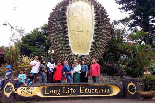 Informasi Umum, Daya Tarik Warso Farm, Harga Durian di Warso Farm Cihideung Bogor, Alamat Warso Farm Cihideung Bogor, Fasilitas, Aktivitas Seru di Warso Farm, Tips Berkunjung, Galeri Foto Warso Farm