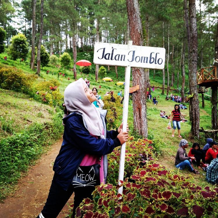 harga-tiket-masuk-jurang-senggani, Informasi Umum, Harga Tiket Masuk Jurang Senggani Sendang, Lokasi dan Rute Menuju Jurang Senggani Sendang, Spot Foto Jurang Senggani Sendang, Daya Tarik, Galeri Foto