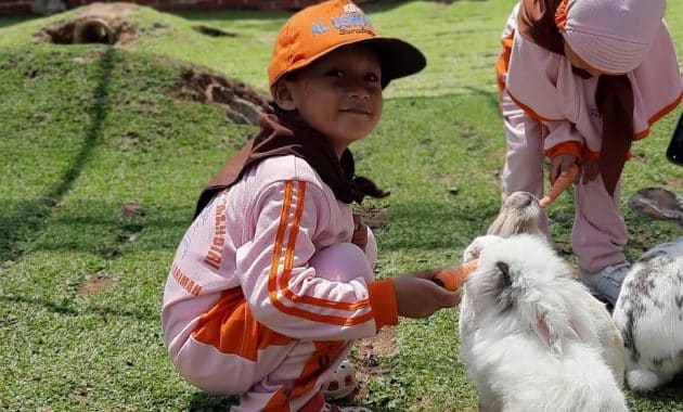 instagram.com @eky_novianarenti, Informasi Umum, Sekapur Sirih, Harga Penginapan, Harga Tiket Masuk Pacet Mini Park Mojokerto, Fasilitas, Wahana Permainan Seru, Peraturan, Galeri Foto