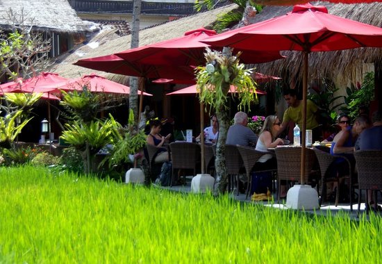 Monkeys Cuisine via Tripadvisor, 1. Warung Babi Ibu Oka, 2. Naughty Nuri’s, 3. Pawon Pasundan, 4. Cafe Pomegranate, 5. Monkeys Cuisine, 6. Green Ginger (Tutup), 7. Betelnut Cafe, 8. Petitenget, 9. Restoran Rondji, 10. Restoran L’Assiette (Tutup), 11. Nook (Kerobokan), 12. Ultimo Italian Restaurant (Kerobokan), 13. Pison Coffee (Kerobokan), 14. Biku (Kerobokan), 15. Lawn Canggu, 16. Potato Head (Kerobokan), 17. Finns beach Club (Canggu), 18. La Plancha (Seminyak), 19. Ulu Cliffhouse (Pecatu), 20. KYND COMMUNITY (Kerobokan), 21. Warung Mak Beng (Sanur), 22. Gusto Gelato (Seminyak), 23. Massimo Restaurant (Sanur), 24. RivaReno Gelato Bali (Kerobokan), 25. Yogurt Republic (Seminyak), 26. Nalu Bowls (Pecatu), 27. Waroeng Kampoeng (Jimbaran), 28. Warung Nasi Ayam Bu Oki (Jimbaran), 30. Warung Kayu Manis (Denpasar), 31. Warung Men Gara (Mengwi), 32. Warung Nasi Tekor Bali (Denpasar), 33. Warung makan nikmat halal (Kuta), 34. Rujak uma bali (Denpasar), 35. Pronto Pizza (Kuta), 36. Pink Tempong (Kuta), 37. Donat Lio (Denpasar), 38. Waroeng Soerabi Bandoeng 101 (Kuta), 39. Ronde Nusa Kambangan (Denpasar), 40. Gado Gado Ibu Lulu (Kerobokan), 41. Mie Bandung (Denpasar), 42. Warung Bunana, 44. Ulekan, 45. Sinamon Bali, 46. Cuca Restaurant, 47. Folie Kitchen & Pâtisserie, 48. Yogurt Republic, 49. Vincent Nigita Patisserie, 50. Sayuri Healing Food, 51. Nasi Campur Warung Mek Juwel, 52. Confiture de Bali, 53. Zest Ubud, 54. Yogurt Yogi, 55. Sawobali Cake & Coffee Shop, 56. Bella by Sage, 57. The Amora Bali Restaurant, 58. D’ Alas Warung, 59. The Wijaya Kusuma, 60. Café Seafood Bakar Jimbaran, 61. Ngiring Ngwedang, 62. Mentari Restoran Bedugul, 63. Restoran Bebek Tepi Sawah Ubud, 64. The Lookout Resto & Bar, 65. The Kelusa, 66. Wantilan Resataurant, 67. Bali Buda, 68. Samani Resto, 69. The Sayan House, 70. Swept Away, 71. El Kabron, 72. Ke-Pi-Tu, 73. CasCades Restaurant