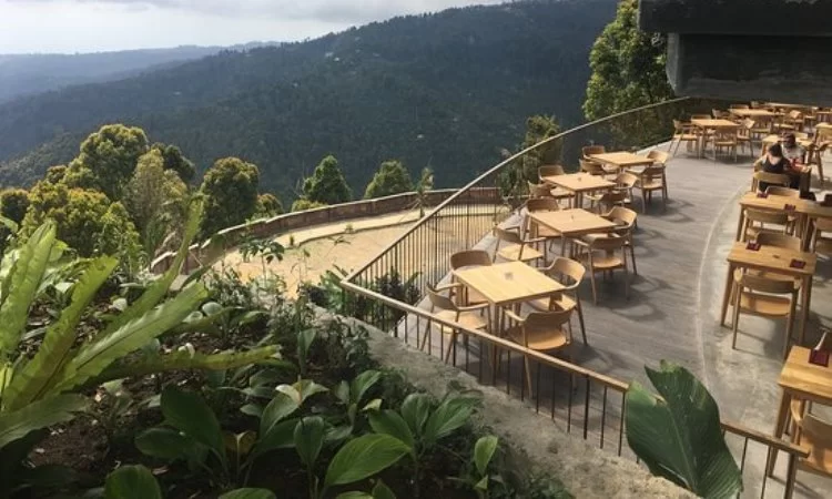 Ngiring Ngwedang via Tripadvisor, 1. Warung Babi Ibu Oka, 2. Naughty Nuri’s, 3. Pawon Pasundan, 4. Cafe Pomegranate, 5. Monkeys Cuisine, 6. Green Ginger (Tutup), 7. Betelnut Cafe, 8. Petitenget, 9. Restoran Rondji, 10. Restoran L’Assiette (Tutup), 11. Nook (Kerobokan), 12. Ultimo Italian Restaurant (Kerobokan), 13. Pison Coffee (Kerobokan), 14. Biku (Kerobokan), 15. Lawn Canggu, 16. Potato Head (Kerobokan), 17. Finns beach Club (Canggu), 18. La Plancha (Seminyak), 19. Ulu Cliffhouse (Pecatu), 20. KYND COMMUNITY (Kerobokan), 21. Warung Mak Beng (Sanur), 22. Gusto Gelato (Seminyak), 23. Massimo Restaurant (Sanur), 24. RivaReno Gelato Bali (Kerobokan), 25. Yogurt Republic (Seminyak), 26. Nalu Bowls (Pecatu), 27. Waroeng Kampoeng (Jimbaran), 28. Warung Nasi Ayam Bu Oki (Jimbaran), 30. Warung Kayu Manis (Denpasar), 31. Warung Men Gara (Mengwi), 32. Warung Nasi Tekor Bali (Denpasar), 33. Warung makan nikmat halal (Kuta), 34. Rujak uma bali (Denpasar), 35. Pronto Pizza (Kuta), 36. Pink Tempong (Kuta), 37. Donat Lio (Denpasar), 38. Waroeng Soerabi Bandoeng 101 (Kuta), 39. Ronde Nusa Kambangan (Denpasar), 40. Gado Gado Ibu Lulu (Kerobokan), 41. Mie Bandung (Denpasar), 42. Warung Bunana, 44. Ulekan, 45. Sinamon Bali, 46. Cuca Restaurant, 47. Folie Kitchen & Pâtisserie, 48. Yogurt Republic, 49. Vincent Nigita Patisserie, 50. Sayuri Healing Food, 51. Nasi Campur Warung Mek Juwel, 52. Confiture de Bali, 53. Zest Ubud, 54. Yogurt Yogi, 55. Sawobali Cake & Coffee Shop, 56. Bella by Sage, 57. The Amora Bali Restaurant, 58. D’ Alas Warung, 59. The Wijaya Kusuma, 60. Café Seafood Bakar Jimbaran, 61. Ngiring Ngwedang, 62. Mentari Restoran Bedugul, 63. Restoran Bebek Tepi Sawah Ubud, 64. The Lookout Resto & Bar, 65. The Kelusa, 66. Wantilan Resataurant, 67. Bali Buda, 68. Samani Resto, 69. The Sayan House, 70. Swept Away, 71. El Kabron, 72. Ke-Pi-Tu, 73. CasCades Restaurant