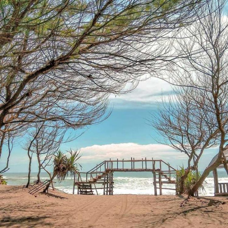 Pantai Cemara Sewu, 1. Pantai Cemara Sewu, 2. Pantai Parangtritis, 3. Pantai Depok, 4. Pantai Samas, 5. Pantai Pandansimo, 6. Pantai Kuwaru, 7. Pantai Baru, 8. Pantai Goa Cemara, 9. Pantai Parangkusumo, 10. Pantai Parangendog, 11. Pantai Pandansari, 12. Pantai Pelangi, 13. Pantai Baros, 14. Pantai Trisik, 15. Pantai Barchan
