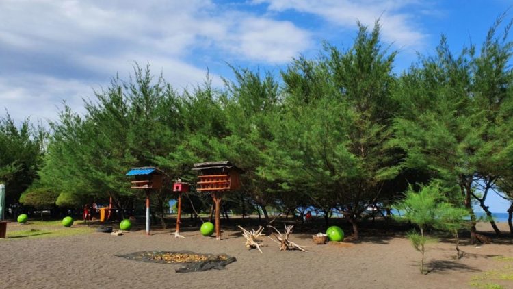 Pantai Cemara, 1. Pantai Boom, 2. Pantai Plengkung , 3. Pantai Wedi Ireng , 5. Pantai Batu, 7. Pantai Grajagan , 8. Pantai Watu Dodol, 9. Pantai Teluk Hijau, 10. Pantai Pulau Merah, 11. Pantai Trianggulasi, 12. Pantai Sukamade, 13. Pantai Rajegwesi, 14. Pantai Pancur, 15. Pantai Parang Kursi, 16. Pantai Ngagelan, 17. Pantai Cacalan, 18. Pantai Bangsring, 19. Pantai Cemara, 20. Pantai Palukuning, 21. Pantai Perpat, 22. Pantai Bomo, 23. Pantai Jatisari, 24. Pantai Sobo Banyuwangi, 25. Pantai Dermaga Cinta, 26. Pantai Mustika Pancer, 27. Pantai Parang Ireng