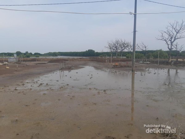Pantai Bahagia via detik, 1. Pantai Bungin Bekasi, 2. Pantai Mekar, 3. Pantai Bahagia, 4. Pantai Muara Beting, 5. Pantai Muara Bendera, 6. Pantai Muara Gembong, 7. Pantai Marunda