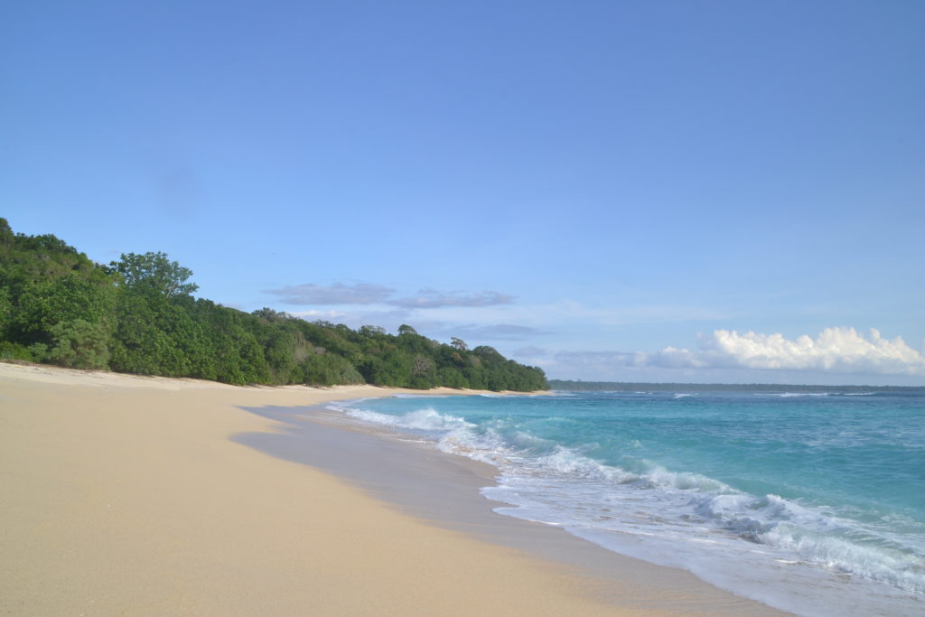 Pantai Pancur, 1. Pantai Boom, 2. Pantai Plengkung , 3. Pantai Wedi Ireng , 5. Pantai Batu, 7. Pantai Grajagan , 8. Pantai Watu Dodol, 9. Pantai Teluk Hijau, 10. Pantai Pulau Merah, 11. Pantai Trianggulasi, 12. Pantai Sukamade, 13. Pantai Rajegwesi, 14. Pantai Pancur, 15. Pantai Parang Kursi, 16. Pantai Ngagelan, 17. Pantai Cacalan, 18. Pantai Bangsring, 19. Pantai Cemara, 20. Pantai Palukuning, 21. Pantai Perpat, 22. Pantai Bomo, 23. Pantai Jatisari, 24. Pantai Sobo Banyuwangi, 25. Pantai Dermaga Cinta, 26. Pantai Mustika Pancer, 27. Pantai Parang Ireng