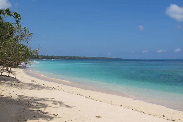 Pantai Triangulasi masih berada di kawasan Taman Nasional Alas Purwo, dan populer dengan air lautnya yang biru jernih., 1. Pantai Boom, 2. Pantai Plengkung , 3. Pantai Wedi Ireng , 5. Pantai Batu, 7. Pantai Grajagan , 8. Pantai Watu Dodol, 9. Pantai Teluk Hijau, 10. Pantai Pulau Merah, 11. Pantai Trianggulasi, 12. Pantai Sukamade, 13. Pantai Rajegwesi, 14. Pantai Pancur, 15. Pantai Parang Kursi, 16. Pantai Ngagelan, 17. Pantai Cacalan, 18. Pantai Bangsring, 19. Pantai Cemara, 20. Pantai Palukuning, 21. Pantai Perpat, 22. Pantai Bomo, 23. Pantai Jatisari, 24. Pantai Sobo Banyuwangi, 25. Pantai Dermaga Cinta, 26. Pantai Mustika Pancer, 27. Pantai Parang Ireng