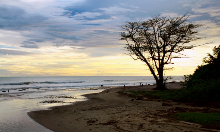 Pantai Urai, 1. Pantai Duayu Sekundang, 2. Pantai Tapak Paderi, 3. Pantai Padang Betuah, 4. Pantai Lais, 5. Pantai Urai, 6. Pantai Muara Kedurang, 7. Pantai Panjang, 8. Pantai Air Bengkenang, 9. Pantai Way Hawang, 10. Pantai Sungai Suci, 11. Pantai Aluran Pandan, 12. Pantai Lentera Merah, 13. Pantai Manula, 14. Pantai zakat, 15. Pantai Pasir Putih Bengkulu, 16. Pantai Pasar Bawah, 17. Pantai Linau, 18. Pantai Laguna Samudera, 19. Pantai Podipo (Pulau Enggano)
