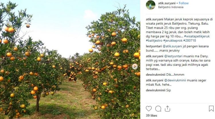 Balitjestro Batu, Informasi Umum, Harga Tiket Masuk Balitjestro Batu, Lokasi Balitjestro Kota Batu, Galeri Foto