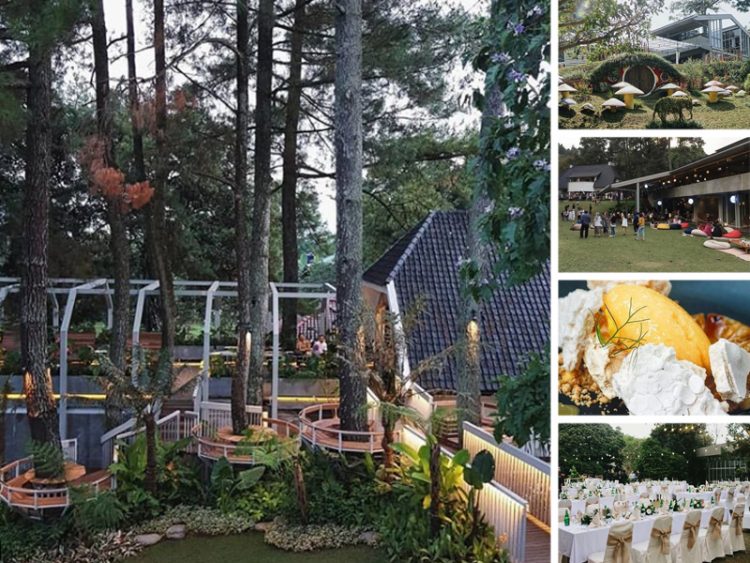 Nara Park, 1. Café D’Pakar, 2. Dusun Bambu, 3. Sapulidi Café, Resort & Gallery, 4. Bumi Kiwari, 5. Kampung Daun, 6. Nara Park, 7. Natural Resto & Strawberry Land