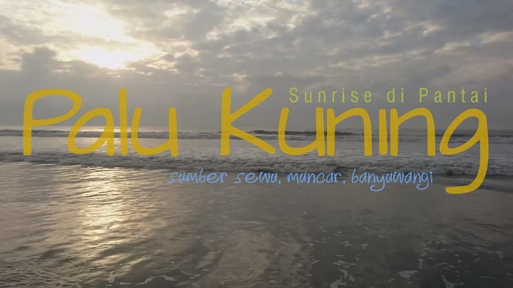 Pantai Palu Kuning via 30menit, 1. Pantai Boom, 2. Pantai Plengkung , 3. Pantai Wedi Ireng , 5. Pantai Batu, 7. Pantai Grajagan , 8. Pantai Watu Dodol, 9. Pantai Teluk Hijau, 10. Pantai Pulau Merah, 11. Pantai Trianggulasi, 12. Pantai Sukamade, 13. Pantai Rajegwesi, 14. Pantai Pancur, 15. Pantai Parang Kursi, 16. Pantai Ngagelan, 17. Pantai Cacalan, 18. Pantai Bangsring, 19. Pantai Cemara, 20. Pantai Palukuning, 21. Pantai Perpat, 22. Pantai Bomo, 23. Pantai Jatisari, 24. Pantai Sobo Banyuwangi, 25. Pantai Dermaga Cinta, 26. Pantai Mustika Pancer, 27. Pantai Parang Ireng