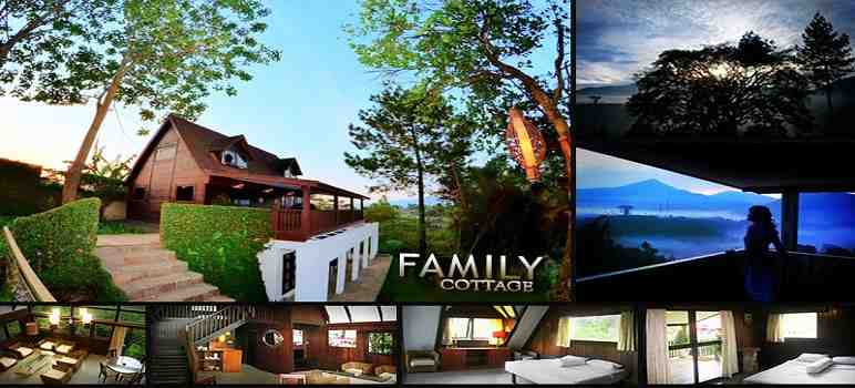 Burgundy Dine, 1. Lereng Anteng Panoramic Coffee, 2. Lawangwangi Creative Space, 3. Imah Kopi, 4. Twig Cafe, 5. Kidang Nyaring, 6. Tafso Barn, 7. Pines Cafe (The Maribaya Lodge), 8. The Peak Resort Dining, 9. Backyard Resto, 10. Cafe D’Pakar, 11. Sapu Lidi Resto, 12. Maja House, 13. Cafe Burangrang, 14. Burgundy Dine, 15. The Stone Cafe, 16. Natural Resto And Strawberry Land, 17. Ikan Balap Resto, 18. Gubug Makan Mang Engking, 19. Black Khozie Coffee and Cafe, 20. Congo Gallery and Cafe, 21. Day n Nite, 22. Genesis Coffee, 23. Brew Coffee Farmhouse, 24. Maka Galery (Tutup), 25. Dago Bakery Punclut