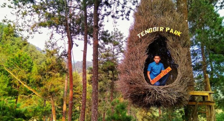 Spot Foto Instagramable Sarang Burung Tenggir Park via Google Maps @Rown nee, Informasi Umum, Harga Tiket Masuk Tenggir Park Karanganyar, Lokasi Tenggir Park Ngargoyoso karanganyar, Jam Operasional Tenggir Park Karanganyar, Pesona Keindahan Alam Kaki Gunung Lawu, Galeri Foto Tenggir Park
