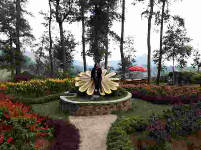 Taman Bunga Tenggir Park via Google Maps @Nia Khara, Informasi Umum, Harga Tiket Masuk Tenggir Park Karanganyar, Lokasi Tenggir Park Ngargoyoso karanganyar, Jam Operasional Tenggir Park Karanganyar, Pesona Keindahan Alam Kaki Gunung Lawu, Galeri Foto Tenggir Park