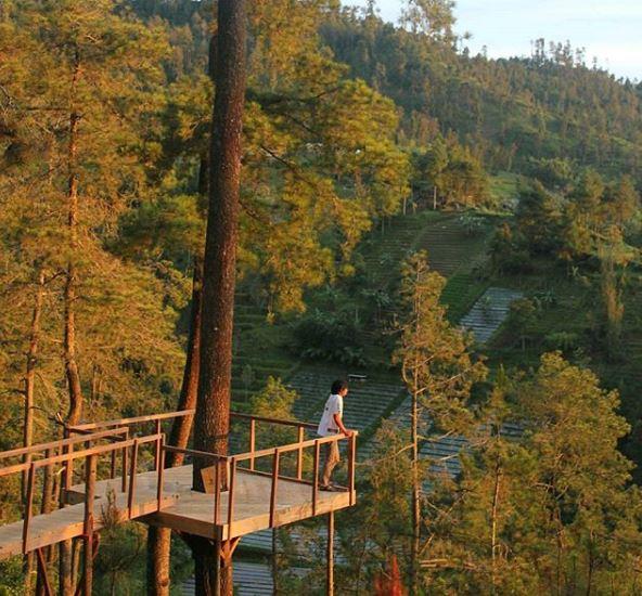 Wisata Tenggir Park, Informasi Umum, Harga Tiket Masuk Tenggir Park Karanganyar, Lokasi Tenggir Park Ngargoyoso karanganyar, Jam Operasional Tenggir Park Karanganyar, Pesona Keindahan Alam Kaki Gunung Lawu, Galeri Foto Tenggir Park