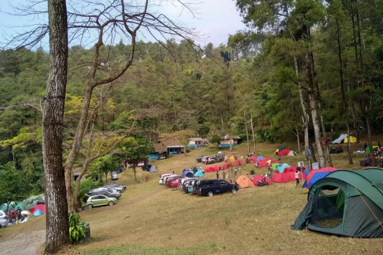 Bumi Perkemahan Air Terjun Dlundung, 1. Puncak Bayangan Gunung Penanggungan, 2. Lentera Camp Trawas, 3. Bumi Perkemahan Air Terjun Dlundung, 4. Alas Pelangi, 5. Bumi Perkemahan Lumbung Wit-Witan, 6. Gartenhutte Camp Ground, 7. Obis Camp, 8. Sasana Krida Jatijejer, 9. Abhimata Camp Site, 10. Alas Veenuz Trawas, 11. Camping Ground Wanawisata Bernah de Vallei, 12. Selotapak Camp
