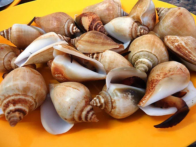 Gong Gong, Oleh-oleh khas Batam, Pusat Oleh Oleh Khas Batam, Toko Oleh-Oleh Khas Batam, Toko Kue di Batam, Oleh Oleh Khas Batam Online