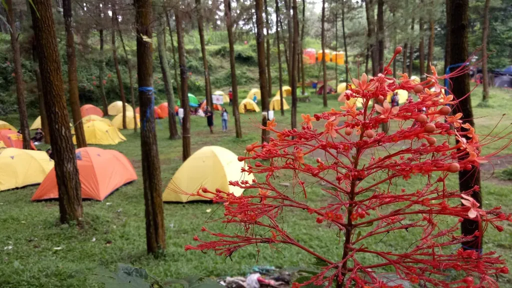 Obis Camp_via menaratodaycom, 1. Puncak Bayangan Gunung Penanggungan, 2. Lentera Camp Trawas, 3. Bumi Perkemahan Air Terjun Dlundung, 4. Alas Pelangi, 5. Bumi Perkemahan Lumbung Wit-Witan, 6. Gartenhutte Camp Ground, 7. Obis Camp, 8. Sasana Krida Jatijejer, 9. Abhimata Camp Site, 10. Alas Veenuz Trawas, 11. Camping Ground Wanawisata Bernah de Vallei, 12. Selotapak Camp