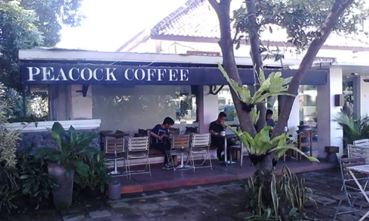 Peacock Coffee Shop , Tempat Ngopi Murah di Semarang, Tempat Ngopi Enak di Semarang, Tempat Ngopi di Semarang 24 Jam, Cafe di Semarang yang Romantis, Restoran di Semarang, Tempat Ngopi Hits di Semarang