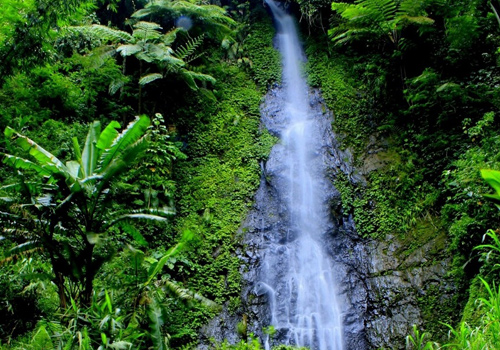 Air Terjun Kembar, 1. Bukit Diponegoro Semarang, 2. Air Terjun Kembar, 3. Gunung Kelir, 4. Goa Jepang Promasan, 5. Kebun Teh Medini, 6. Gunung Telomoyo, 7. Rumah Pohon Kali Kulon, 8. Bantir Hills Semarang, 9. Umbul Sidomukti, 10. Candi Gedong Songo