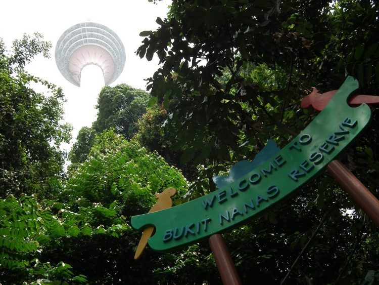 Bukit Nanas via Healthworks, 1. Museum Kesenian Islam Malaysia, 2. Kuala Lumpur City Gallery, 3. Menara Kembar Petronas Malaysia, 4. Pusat Kota Kuala Lumpur (KLCC), 5. Bukit Bintang Walkway Malaysia (The Golden Triangle), 6. Jembatan Putrajaya Malaysia, 7. Taman Burung Kuala Lumpur, 8. Kuala Lumpur Convention Center, 9. Menara Kuala Lumpur (KL Tower), 10. Jalan Alor Malaysia, 11. National Mosque Malaysia (Masjid Negara), 12. Aquaria KLCC, 13. Sri Mahamariamman Malaysia, 14. Sultan Abdul Samad Building Malaysia, 15. Dataran Merdeka atau Merdeka Square Malaysia, 16. Berjaya Times Square Theme Park, 17. Masjid Jamek Malaysia, 18. Chinatown Kuala Lumpur, 19. Istana Negara Malaysia, 20. Berjaya Time Square Theme Park, 21. Batu Caves, 22. Lake Gardens (Taman Tasik Perdana), 23. Kuil Thean Hou, 24. Rumah Penghulu Abu Seman, 25. Lake Symphony – Kuala Lumpur, 26. Little India – Kuala Lumpur, 27. Railway Station and Administration Building, 28. District 21 Kuala Lumpur, 29. Petrosains Discovery Centre, 30. Kuala Lumpur National Zoo & Aquarium, 31. Wisata Religi Masjid Putrajaya, 32. Sunway Lagoon Theme Park, 33. Kuala Lumpur Forest Eco Park, 34. Istana Budaya, 35. Jalan Alor, 36. Pusat Sains Negara, 36. i-City Shah Alam, 37. Bukit Tabur, 38. Skytrex Adventure, 39. National Textile Museum, 40. Sin Sze Ya Temple, 42. Royal Malaysian Police Museum, 43. Kuala Lumpur Butterfly Park, 44. Pasar Seni, 45. Suria KLCC, 46. Taman Botani Perdana, 47. Genting Highlands, 48. Museum Negara Malaysia, 49. Taman KLCC, 50. Tugu Negara, 51. Bukit Nanas, 52. Planetarium Negara, 53. Istana Negara Kuala Lumpur, 54. Menara KL118, 55. Titiwangsa Lake Gardens, 56. Petronas Gallery, 57. KL Tower Mini Zoo, 58. KidZania Kuala Lumpur