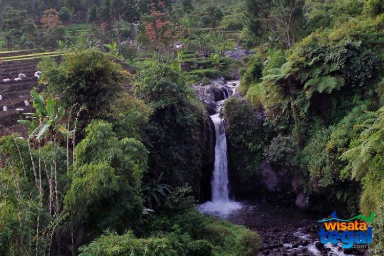 Curug Longan, 1. Pemandian Air Panas Guci, 2. Pantai Purwahamba Indah, 3. Tirta Waduk Cacaban , 4. Agro Wisata Loco Antik , 5. Curug Cantel Bumijawa, 6. Curug Putri , 7. Pantai Alam Indah, 8. Bahari Waterpark Tegal, 9. Wana Wisata Clirit View, 10. Rita Park, 11. Alun-alun Kota Tegal, 12. Taman Rakyat Slawi Ayu, 13. Guci Forest, 14. Sulaku Bumijawa Park, 15. Taman Anggrek Tuwel Guci, 16. Guciku Hot Waterboom, 17. The Baron Hill of Guci, 18. Waterboom Yogya, 19. Konsorsium Rumah Wayang, 20. Bukit Goa Lawa atau Bukit Batu Agung, 21. Danau Beko Margasari, 22. Jembatan Gantung Danawarih, 23. Kawasan Konservasi Karang Jeruk, 24. Wisata Kesehatan Jamu (WKJ) Kalibakung, 25. Monumen Bahari, 26. Curug Pitu Margasari, 27. Situs Manusia Purba Semedo, 28. Pantai Muarareja Indah, 29. Taman Poci, 30. Curug Jejeg, 31. Curug Luhur, 32. Curug Kembar, 33. Kolam Renang Samudra Slawi, 34. Bukit Rangkok Pagerwangi, 35. Kebun Melati Maribaya, 36. Curug Penganten, 37. Pacific Mall, 38. Bukit Bintang Guci, 39. Curug Sentul Cawitali, 40. Curug Jedor Guci, 41. Curug Longan, 42. Kolam Renang Hj. Muriyah Slawi, 43. Telaga Air Cempaka, 44. Gunung Tanjung