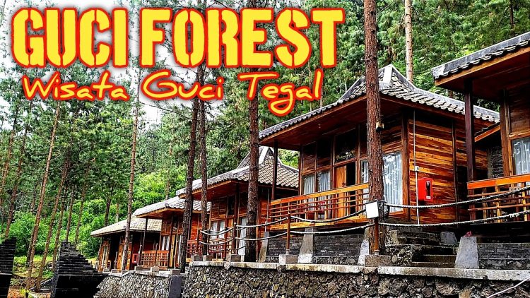 Guci Forest via Youtube Adi Linggapura, 1. Pemandian Air Panas Guci, 2. Pantai Purwahamba Indah, 3. Tirta Waduk Cacaban , 4. Agro Wisata Loco Antik , 5. Curug Cantel Bumijawa, 6. Curug Putri , 7. Pantai Alam Indah, 8. Bahari Waterpark Tegal, 9. Wana Wisata Clirit View, 10. Rita Park, 11. Alun-alun Kota Tegal, 12. Taman Rakyat Slawi Ayu, 13. Guci Forest, 14. Sulaku Bumijawa Park, 15. Taman Anggrek Tuwel Guci, 16. Guciku Hot Waterboom, 17. The Baron Hill of Guci, 18. Waterboom Yogya, 19. Konsorsium Rumah Wayang, 20. Bukit Goa Lawa atau Bukit Batu Agung, 21. Danau Beko Margasari, 22. Jembatan Gantung Danawarih, 23. Kawasan Konservasi Karang Jeruk, 24. Wisata Kesehatan Jamu (WKJ) Kalibakung, 25. Monumen Bahari, 26. Curug Pitu Margasari, 27. Situs Manusia Purba Semedo, 28. Pantai Muarareja Indah, 29. Taman Poci, 30. Curug Jejeg, 31. Curug Luhur, 32. Curug Kembar, 33. Kolam Renang Samudra Slawi, 34. Bukit Rangkok Pagerwangi, 35. Kebun Melati Maribaya, 36. Curug Penganten, 37. Pacific Mall, 38. Bukit Bintang Guci, 39. Curug Sentul Cawitali, 40. Curug Jedor Guci, 41. Curug Longan, 42. Kolam Renang Hj. Muriyah Slawi, 43. Telaga Air Cempaka, 44. Gunung Tanjung