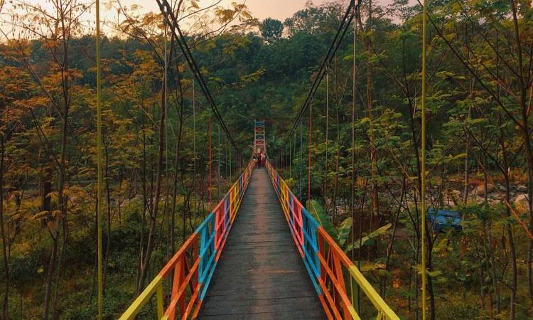 Jembatan Gantung Danawarih, 1. Pemandian Air Panas Guci, 2. Pantai Purwahamba Indah, 3. Tirta Waduk Cacaban , 4. Agro Wisata Loco Antik , 5. Curug Cantel Bumijawa, 6. Curug Putri , 7. Pantai Alam Indah, 8. Bahari Waterpark Tegal, 9. Wana Wisata Clirit View, 10. Rita Park, 11. Alun-alun Kota Tegal, 12. Taman Rakyat Slawi Ayu, 13. Guci Forest, 14. Sulaku Bumijawa Park, 15. Taman Anggrek Tuwel Guci, 16. Guciku Hot Waterboom, 17. The Baron Hill of Guci, 18. Waterboom Yogya, 19. Konsorsium Rumah Wayang, 20. Bukit Goa Lawa atau Bukit Batu Agung, 21. Danau Beko Margasari, 22. Jembatan Gantung Danawarih, 23. Kawasan Konservasi Karang Jeruk, 24. Wisata Kesehatan Jamu (WKJ) Kalibakung, 25. Monumen Bahari, 26. Curug Pitu Margasari, 27. Situs Manusia Purba Semedo, 28. Pantai Muarareja Indah, 29. Taman Poci, 30. Curug Jejeg, 31. Curug Luhur, 32. Curug Kembar, 33. Kolam Renang Samudra Slawi, 34. Bukit Rangkok Pagerwangi, 35. Kebun Melati Maribaya, 36. Curug Penganten, 37. Pacific Mall, 38. Bukit Bintang Guci, 39. Curug Sentul Cawitali, 40. Curug Jedor Guci, 41. Curug Longan, 42. Kolam Renang Hj. Muriyah Slawi, 43. Telaga Air Cempaka, 44. Gunung Tanjung