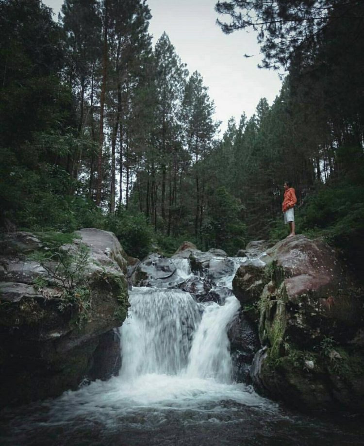 Kedung Sembrani via Instagram.com @ilza_agung, 1. Candi Borobudur, 2. Rafting di Sungai Progo Atas, 3. Alun-alun Kota Magelang, 4. Air Terjun Kedung Kayang, 5. Taman Kyai Langgeng, 6. Ketep Pass, 7. Air Terjun Sekar Langit, 8. Rumah Kamera, 9. Candi Mendut, 10. Candi Pawon, 11. Gunung Andong, 12. Candi Selogriyo, 13. Gunung Tidar, 14. Curug Grenjengan Kembar, 15. Punthuk Setumbu, 16. Trekking Gunung Merbabu, 17. Curug Silawe, 18. Pemandian Air Hangat Candi Umbul, 19. Taman Badaan, 20. Museum Sudirman, 21. Pinusan Kragilan Magelang, 22. Candi Canggal, 23. Candi Ngawen, 24. Candi Lumbung, 25. Pemandian Kali Bening, 26. Air Terjun Kedung Kayangan, 27. Gardu Pandang Babadan, 28. Arung Jeram Kali Elo, 29. Telaga Bleder, 30. Gardu Pandang Bukit Barede, 31. Gardu Pandang Dlimas, 32. Gardu Pandang Mangli, 33. Sukmojoyo Hill, 34. Hutan Pinus Grenden, 35. Gereja Ayam di Dusun Gombong, 36. Punthuk Setumbu, 37. Kedung Sembrani, 38. Gunung Telomoyo, 39. Silancur Highland, 40. Bukit Grenden, 41. Curug Sigetik, 42. Puntuk Mangir Gunung Payung, 43. Bukit Rhema, 44. Hutan Pinus Wisata Mangli, 45. Jurang Jero, 46. OHD Museum, 47. Gunung Giyanti, 48. Curug Watu Ploso, 49. Klenteng Liong Hok Bio, 50. Curug Gleyor, 51. Punthuk Mongkrong, 52. Bukit Sleker, 53. Curug Lawang Kori, 54. Bukit kertojoyo, 55. Taman Ramadanu, 56. Puncak Seoloyo, 57. Taman Wisata Kopeng, 58. Bukit Gancik Selo Boyolali, 59. Gunung Sumbing, 60. Punthuk Kendil, 61. Bukit Harapan Cuntel, 62. Kebun Durian Candimulyo, 63. Jembatan Gantung Mangunsuko, 64. Air Terjun Goa Slandak, 65. Air Terjun Sumuran, 67. Museum Kapal Samudraraksa, 68. Karesidenan Kedu, 69. New Selo, 70. Taman Dewari, 71. Desa Wisata Candirejo, 72. Svargabumi Borobudur, 73. Awang-awang Telomoyo, 74. Ladon Little Island, 75. Candi Retno, 76. Wisata Petik Salak Gapoktan Ngudi Luhur, 77. Pesona Cempurung, 78. Gardu Pandang Cepogo, 79. Taman Garempong Bringin Kulon, 80. Sendang Mudal, 81. Curug Dlimas, 82. Museum Diponegoro, 83. Curug Sikencling, 84. Sendang Maren, 85. Citraelo Rafting, 86. Desa Wisata Ngawen, 87. Wisata Kulon Ndeso, 88. Taman Bunga Matahari, 89. Taman Hanya Untukmu, 90. Junkyard Autopark & Cafe, 91. Balkondes Ngadiharjo, 92. Banyuroto, 93. Bukit Dagi, 94. Jembatan Gantung Srowol, 95. Candi Asu, 96. Persawahan Permitan, 97. Bakorwil II Magelang, 98. Kebun Bibit Senopati