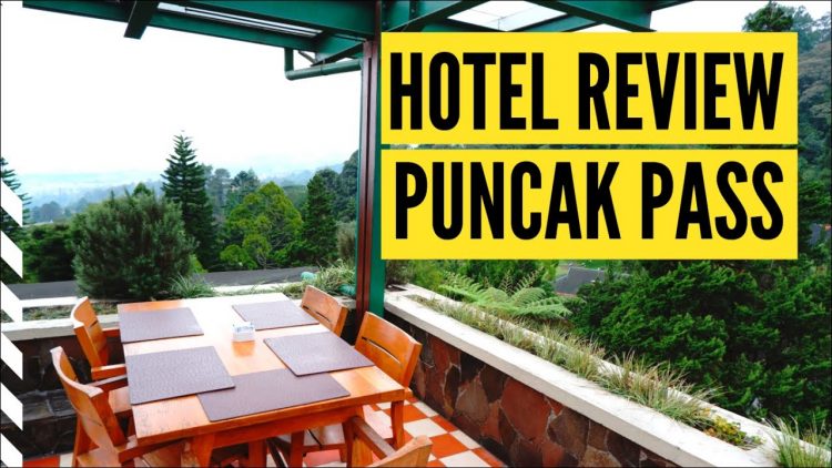 Puncak Pass Resort via Youtube Geng3A, 1. Tempat Wisata di puncak – Curug Panjang, 2. Tempat Wisata di puncak – Taman Wisata Matahari, 3. Tempat Wisata di puncak – Taman Riung Gunung, 4. Tempat Wisata di puncak – Curug Cilember, 5. Tempat Wisata di puncak – Telaga Warna, 6. Tempat Wisata di puncak – Desa Wisata Pancawati, 7. Tempat Wisata di puncak – Curug Kembar, 8. Tempat Wisata di puncak – Taman Safari, 9. Tempat Wisata di puncak – Curug Cibeureum, 10. Tempat Wisata di puncak – Istana Presiden Cipanas, 11. Tempat Wisata di puncak – Melrimba Garden, 12. Tempat Wisata di puncak – Kebun Wisata Inkarla, 13. Taman Nasional Gunung Gede Pangrango, 14. Tempat Wisata di puncak – Agro Wisata Gunung Mas, 15. Tempat Wisata di puncak – Wisata Citamiang, 16. Little Venice Kota Bunga, 17. Tempat Wisata di puncak – Seruni Tematik Hotel, 18. Pusat Pendidikan Konservasi Alam Bodogol, 19. Tempat Wisata di Puncak – Taman Rekreasi Lido, 21. Wisata Desa Kampung Bambu Puncak Bogor, 22. Warso Farm Puncak Bogor, 23. Taman Wisata Air Panas Tirta Sanita Ciseeng, 24. Cimory Riverside, 25. Pondok Rasamala, 26. Kebun Raya Cibodas, 27. Penangkaran Rusa Giri Jaya Cariu, 28. Bukit Gantole Puncak, 29. Curug Hordeng, 30. Bukit Alesano, 31. Leuwi Lieuk, 32. Gunung Pancar, 33. Taman Bunga Nusantara, 34. Curug Cibaliung, 35. Telaga Biru Cipanas, 36. Menginap di Puncak Pass Resort dengan View Pemandangan yang Indah, 37. Wisata Religi di Masjid At-Ta’awun