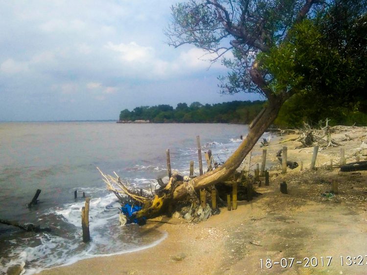 Pulau Mengare, 1. Pulau Bawean, 2. Pulau Noko, 3. Pantai Pulau Cina, 4. Pulau Noko Selayar, 5. Pantai Delegan, 6. Pantai Sukaoneng, 7. Pantai Ria, 8. Pantai Kuburan Panjang, 9. Pantai Labuhan, 10. Pantai Terosan, 11. Pantai Mayangkara, 12. Bukit Kapur Sekapuk, 13. Gunung Surowiti, 14. Air Terjun Laccar, 15. Air Terjun Patar Selamat, 16. Gua Gelang Agung, 17. Air Terjun Putri, 18. Telaga Ngipik, 19. Dynasty Water World, 20. Gua Giri Gajah, 21. Prasasti Gosari, 22. Masjid Agung Gresik, 23. Sendang Banyu Biru Lowayu, 24. Tempat Petilasan Sunan Kalijaga, 25. Tempat Wisata Adenium, 26. Hutan Mangrove Ujungpangkah, 27. Air Terjun Murtalaya, 28. Gua Langsih, 29. Danau Kastoba, 30. Bukit Jamur, 31. Bukit Kapur Suci, 32. Bukit Larangan, 33. Bukit Awan Waterpark, 34. Museum Sunan Giri, 35. Pemandian Air Panas Sangkapura, 36. Bendungan Gerak Sembayat, 37. Tanjung Gaang, 37. Penangkaran Rusa, 39. Kota Lama Gresik, 40. Kampung Kemasan Gresik, 41. Klenteng Kim Hin Kiong, 42. Situs Giri Kedaton & Makam Raden Supeno, 43. Makam Sunan Maulana Malik Ibrahim, 44. Bukit Bintang Gresik, 45. Alun Alun Gresik, 46. Wahana Ekspresi Poesponegoro, 47. Top View, 48. Lembing Kopeng, 49. Telaga Pegat, 50. Wisata Petik Buah Naga, 51. Pulau Mengare, 52. Makam Siti Fatimah, 53. Masjid KH Ahmad Dahlan, 54. Pantai Karang Kering, 55. Pulau Gili, 56. Makam Sunan Prapen, 57. Pantai Mombhul, 58. Mercusuar Dusun Bom Bawean, 1. Nasi Krawu Gresik, 2. Warung Apung Rahmawati, 3. Pucoki House, 4. Dynasty Resto and Cafe, 5. Veranda Cafe and Pasta House Gresik