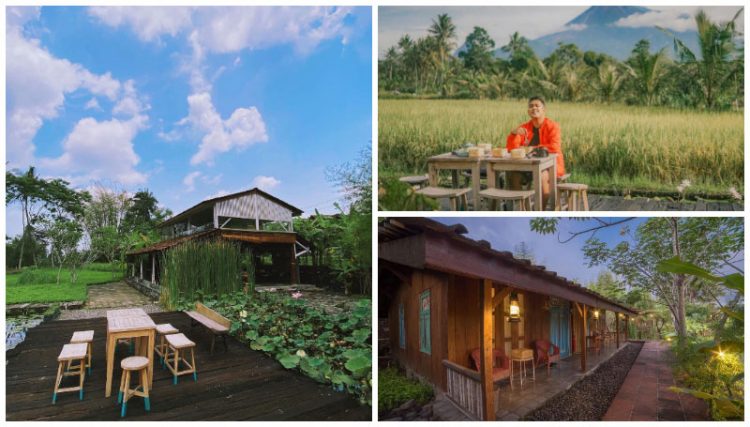 Rumah Jembarati, 1. Wisata Candi Prambanan, 2. Wisata Air Terjun Sri Gethuk, 3. Curug Indah Tegalrejo, 4. Pasar Beringharjo, 5. Sindu Kusuma Edupark (SKE), 6. Tugu Jogja, 7. Museum Benteng Vredeburg, 8. Taman Pintar Yogyakarta, 9. Gumuk Pasir Parangkusumo, 10. The Lost World Castle, 11. Wisata Istana Ratu Boko, 12. Pantai Pok Tunggal, 13. Pantai Parangtritis, 14. Pantai Baron, 15. Pantai Siung, 16. Pabrik Gula Madukismo, 17. Museum Mini Sisa Hartaku, 18. Museum Affandi, 19. Museum Sonobudoyo Siung, 20. Wisata Kotagede , 21. Keraton Ngayogyakarta Hadiningrat, 22. Kebun Binatang Gembira Loka, 23. Jalan Malioboro, 24. Kampung Wisata Taman Sari, 25. Hutan Pinus Mangunan, 26. Kebun Buah Mangunan Jogja, 27. Pantai Timang, 28. Wisata Goa Selarong, 29. Wisata Alam Kalibiru, 30. Cave Tubing di Goa Pindul, 31. Candi Sambisari, 32. Wisata Candi Plaosan, 33. “Cahaya Surga” di Gua Jomblang, 34. Bukit Parang Endog, 35. Bukit Bintang Jogja, 36. Pantai Indrayanti, 37. Pantai Jogan, 38. Pantai Sundak, 39. Pantai Krakal, 40. Goa Gelatik, 41. Cave Tubing Kalisuci, 42. Pantai Sadranan, 43. The World Landmarks Merapi Park, 44. Transmart Carrefour Maguwo, 45. Pantai Nglambor , 46. Jogja Bay Waterpark (Tutup Sementara), 47. Kebun Teh Nglinggo Jogja, 48. Tebing Breksi, 49. Wisata Hutan Mangrove Wana Tirta, 50. Taman Nasional Gunung Merapi, 51. Jurang Tembelan, 52. Gunung Api Purba Nglanggeran, 53. Candi Ijo D.I. Yogyakarta, 54. Alun-alun Kidul, Jogja, 55. Taman Pelangi Monjali, 56. Jalan Prawirotaman, 57. Titik Nol Yogyakarta, 58. Taman Budaya Yogyakarta, 59. Ekowisata Sungai Mudal, 60. Pojok Beteng, 61. HeHa Sky View, 62. HeHa Ocean View, 63. Tumpeng Menoreh, 64. Rumah Jembarati (Tutup), 65. Studio Alam Glampong, 66. Bukit Panguk Kediwung, 67. Curug Pulosari, 68. Seribu Batu Songgo Langit, 69. Embung Langensari, 70. Pantai Ngrawe (MESRA)