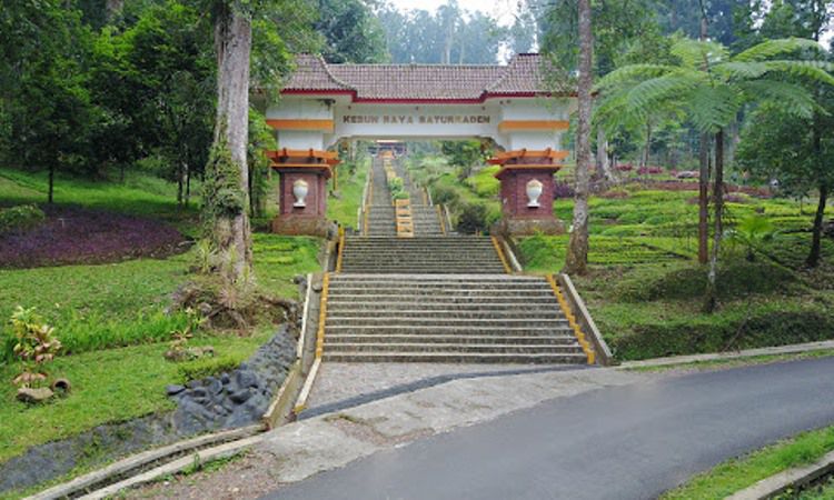 Taman Wana Perga Kebun Raya Baturaden, Asal Mula Penamaan Baturaden, Akses Menuju Lokasi Kawasan Wisata, Tempat Wisata di Kawasan Baturaden, Fasilitas Wisata Baturaden