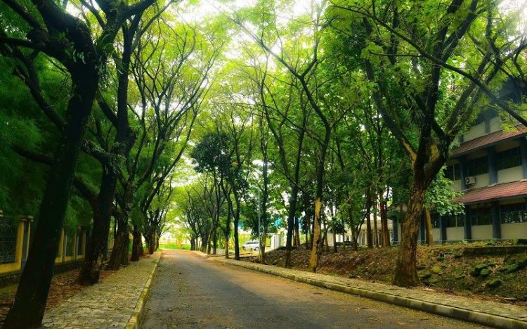 Undip Tembalang via Skyscrapercity - 7 Tempat Jogging di Semarang, Punya Fasilitas Olahraga Lengkap!, 1. Lapangan Simpang Lima Semarang, 2. Banjir Kanal Barat, 3. Taman Tugu Muda Semarang, 4. Taman Sampangan, 5. Taman Srigunting, 6. GOR Tri Lomba Juang, 7. Undip Tembalang