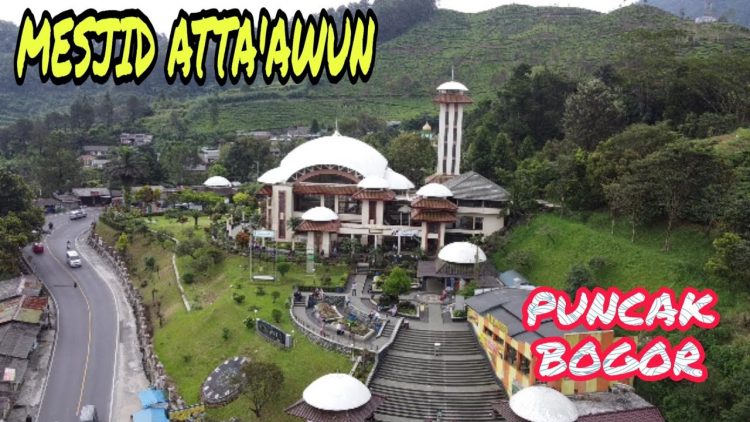 Wisata Religi di Masjid At-Ta’awun via Youtube Ngirit Traveler, 1. Tempat Wisata di puncak – Curug Panjang, 2. Tempat Wisata di puncak – Taman Wisata Matahari, 3. Tempat Wisata di puncak – Taman Riung Gunung, 4. Tempat Wisata di puncak – Curug Cilember, 5. Tempat Wisata di puncak – Telaga Warna, 6. Tempat Wisata di puncak – Desa Wisata Pancawati, 7. Tempat Wisata di puncak – Curug Kembar, 8. Tempat Wisata di puncak – Taman Safari, 9. Tempat Wisata di puncak – Curug Cibeureum, 10. Tempat Wisata di puncak – Istana Presiden Cipanas, 11. Tempat Wisata di puncak – Melrimba Garden, 12. Tempat Wisata di puncak – Kebun Wisata Inkarla, 13. Taman Nasional Gunung Gede Pangrango, 14. Tempat Wisata di puncak – Agro Wisata Gunung Mas, 15. Tempat Wisata di puncak – Wisata Citamiang, 16. Little Venice Kota Bunga, 17. Tempat Wisata di puncak – Seruni Tematik Hotel, 18. Pusat Pendidikan Konservasi Alam Bodogol, 19. Tempat Wisata di Puncak – Taman Rekreasi Lido, 21. Wisata Desa Kampung Bambu Puncak Bogor, 22. Warso Farm Puncak Bogor, 23. Taman Wisata Air Panas Tirta Sanita Ciseeng, 24. Cimory Riverside, 25. Pondok Rasamala, 26. Kebun Raya Cibodas, 27. Penangkaran Rusa Giri Jaya Cariu, 28. Bukit Gantole Puncak, 29. Curug Hordeng, 30. Bukit Alesano, 31. Leuwi Lieuk, 32. Gunung Pancar, 33. Taman Bunga Nusantara, 34. Curug Cibaliung, 35. Telaga Biru Cipanas, 36. Menginap di Puncak Pass Resort dengan View Pemandangan yang Indah, 37. Wisata Religi di Masjid At-Ta’awun