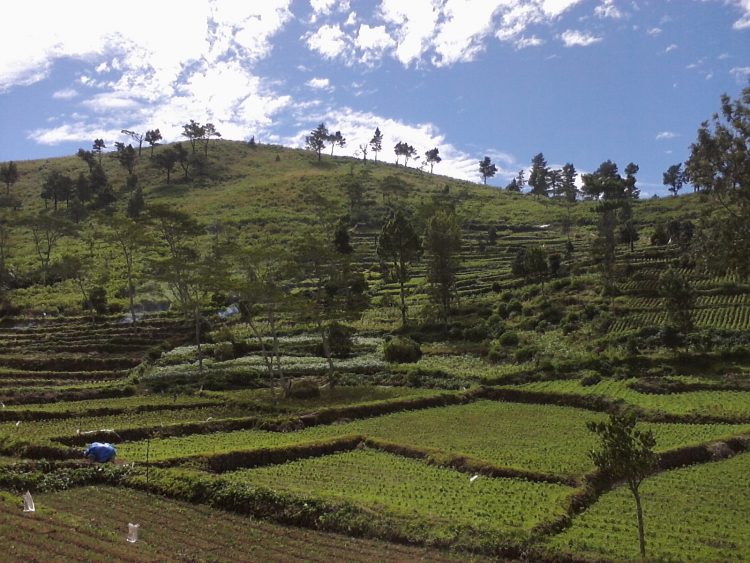 Agrowisata Loka via Kotaksurat.wordpresscom, 1. Pantai Seruni, 2. Pantai Marina, 3. Bukit Rumbia, 4. Gunung Daulu, 5. Agrowisata Loka, 6. Air Terjun Bissappu, 7. Air Terjun Eremerasa, 8. Air Terjun Mattep, 9. Air Terjun Bossola, 10. Air Terjun Simoko, 11. Agrowisata Uluere, 12. Air Terjun Cekala, 13. Mini Showfarm Bantaeng, 14. Bukit Muntea, 15. Jembatan Bonto Salluang, 16. Balla Lompoa Bantaeng, 17. Air Terjun Baruttung, 18. Puncak Gunung Loka, 19. Pemandian Borong Lompoa, 20. Wisata Latar Hijau, 21. Air Terjun Bialo, 22. Wisata Hutan Pinus Rombeng