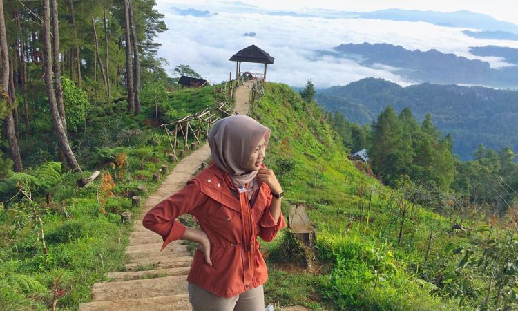 Agrowisata Pango-Pango, 1. Wisata Londa, 2. Wisata Kete Kesu, 3. Musem Ne’ Gandeng, 4. Batu Tumongo, 5. Kompleks Megalit Kalimbuang Bori, 6. Wisata Ranteallo, 7. Agrowisata Pango-Pango, 8. Patung Yesus Buntu Burake, 9. Tongkonan Pallawa, 10. Danau Limbong, 11. Gumuk Pasir Sumalu, 12. Objek Wisata Palawa, 13. Air Terjun Talondo Tallu, 14. Wisata Ollon, 15. Mata Air Tilanga, 16. Wisata Air Terjun Kalean, 17. Tampang Allo, 18. Air Terjun Sarambu Assing, 19. Hamparan Sawah Toraja, 20. Lokomata, 21. Kampung Lolai, 22. Gunung Sesean, 23. Pohon Tarra, 24. Air Terjun Tujuh Tingkat, 25. Air Terjun Sarambu Sikore, 26. Marante Tondon