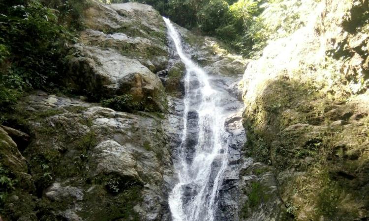 Air Terjun Kalando via Facebook @rei.naldo, 1. Pantai Lombang-lombang, 2. Pulau Karampuang, 3. Wisata Mangrove Bebanga, 4. Pantai Manakarra, 5. Pantai Tapandullu, 6. Air Terjun Tammasapi, 7. Taman Wisata Bukit Jati Gentungan, 8. Pantai Ujung Bulo, 9. Tanjung Ngalo, 10. Air Terjun Malute, 11. Pantai Palippis, 12. Wisata Kelapa Tujuh, 13. Wisata Panorama Mamuju, 14. Air Terjun Tamasapi, 15. Air Terjun Kalando, 16. Pantai Dato, 17. Pantai Rangas, 18. Wisata Pantai Galung, 19. Tanjung Losa, 20. Puncak Mamuju City, 21. Wisata Pantai Mangrove Ampallas, 22. Kampung Nelayan, 23. Bundaran Air Mancur Arteri, 24. Masjid Raya Syuhada