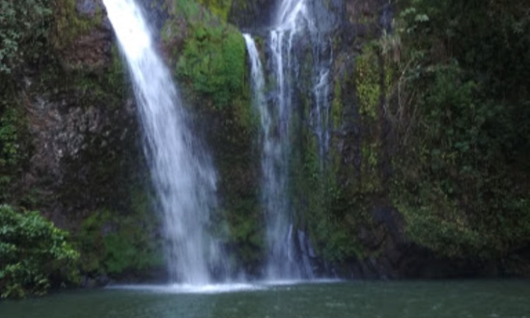 Air Terjun Talondo Tallu via Google Maps Karang Anes, 1. Wisata Londa, 2. Wisata Kete Kesu, 3. Musem Ne’ Gandeng, 4. Batu Tumongo, 5. Kompleks Megalit Kalimbuang Bori, 6. Wisata Ranteallo, 7. Agrowisata Pango-Pango, 8. Patung Yesus Buntu Burake, 9. Tongkonan Pallawa, 10. Danau Limbong, 11. Gumuk Pasir Sumalu, 12. Objek Wisata Palawa, 13. Air Terjun Talondo Tallu, 14. Wisata Ollon, 15. Mata Air Tilanga, 16. Wisata Air Terjun Kalean, 17. Tampang Allo, 18. Air Terjun Sarambu Assing, 19. Hamparan Sawah Toraja, 20. Lokomata, 21. Kampung Lolai, 22. Gunung Sesean, 23. Pohon Tarra, 24. Air Terjun Tujuh Tingkat, 25. Air Terjun Sarambu Sikore, 26. Marante Tondon