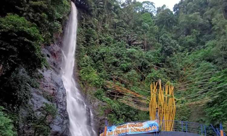 Air Terjun Tammasapi via Facebook.com Bang Mand, 1. Pantai Lombang-lombang, 2. Pulau Karampuang, 3. Wisata Mangrove Bebanga, 4. Pantai Manakarra, 5. Pantai Tapandullu, 6. Air Terjun Tammasapi, 7. Taman Wisata Bukit Jati Gentungan, 8. Pantai Ujung Bulo, 9. Tanjung Ngalo, 10. Air Terjun Malute, 11. Pantai Palippis, 12. Wisata Kelapa Tujuh, 13. Wisata Panorama Mamuju, 14. Air Terjun Tamasapi, 15. Air Terjun Kalando, 16. Pantai Dato, 17. Pantai Rangas, 18. Wisata Pantai Galung, 19. Tanjung Losa, 20. Puncak Mamuju City, 21. Wisata Pantai Mangrove Ampallas, 22. Kampung Nelayan, 23. Bundaran Air Mancur Arteri, 24. Masjid Raya Syuhada